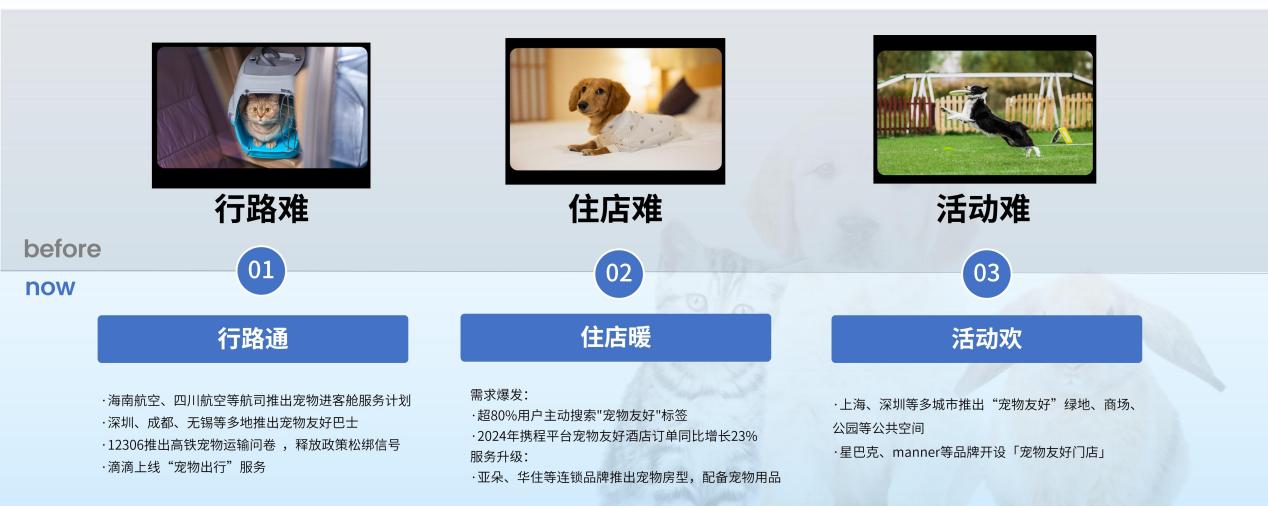 2025年宠物生意的机会点三：宠物出行用品